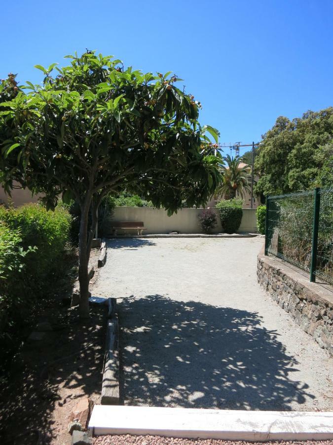 Joli Studio A Front De Mer Saint-Raphael  Bagian luar foto